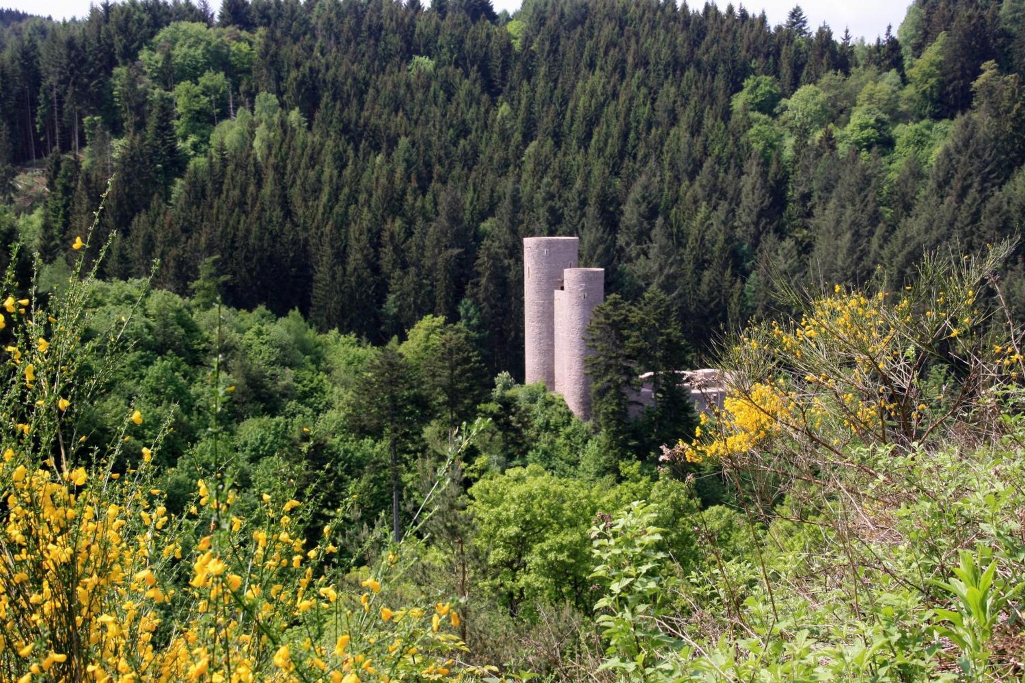 Fewo Purper Frauenberg Exterior photo