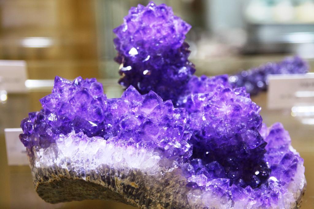 Fewo Purper Frauenberg Exterior photo